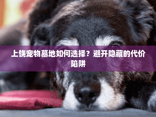 上饶宠物墓地如何选择？避开隐藏的代价陷阱