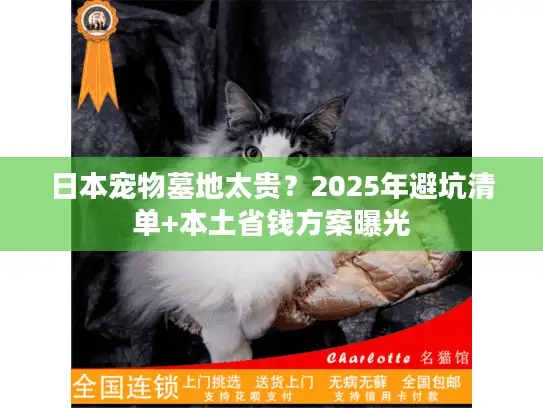 日本宠物墓地太贵？2025年避坑清单+本土省钱方案曝光