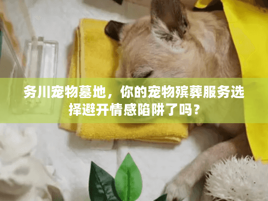 务川宠物墓地，你的宠物殡葬服务选择避开情感陷阱了吗？