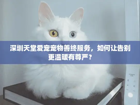 深圳天堂爱宠宠物善终服务，如何让告别更温暖有尊严？