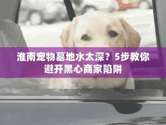 淮南宠物墓地水太深？5步教你避开黑心商家陷阱
