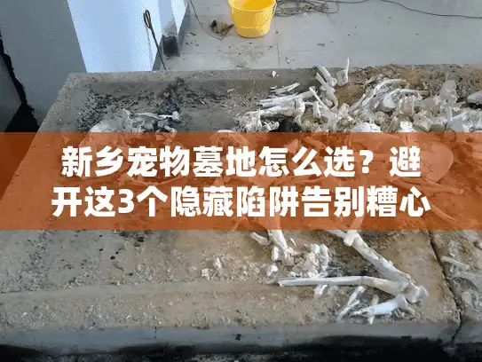 新乡宠物墓地怎么选？避开这3个隐藏陷阱告别糟心体验！