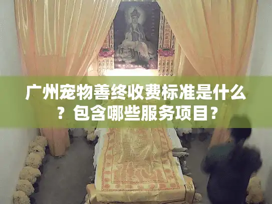广州宠物善终收费标准是什么？包含哪些服务项目？