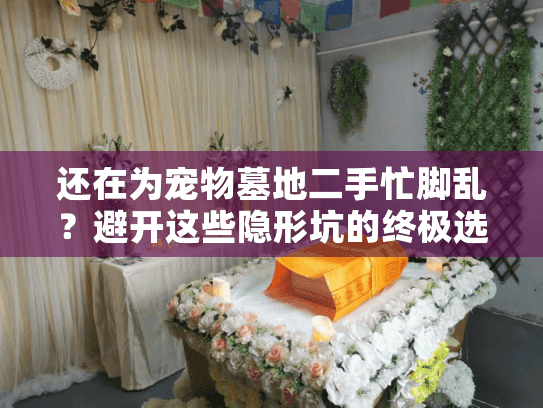 还在为宠物墓地二手忙脚乱？避开这些隐形坑的终极选择指南