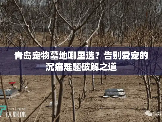 青岛宠物墓地哪里选？告别爱宠的沉痛难题破解之道