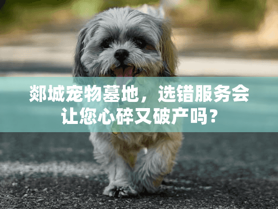 郯城宠物墓地,选错服务会让您心碎又破产吗? 郯城宠物墓地,选错服务会让您心碎又破产吗?