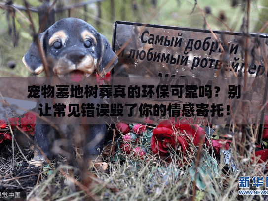 宠物墓地树葬真的环保可靠吗？别让常见错误毁了你的情感寄托！