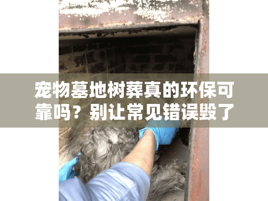 宠物墓地树葬真的环保可靠吗？别让常见错误毁了你的情感寄托！