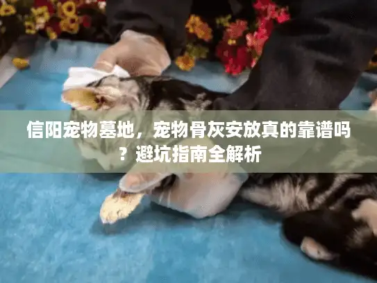 信阳宠物墓地，宠物骨灰安放真的靠谱吗？避坑指南全解析