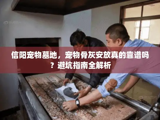信阳宠物墓地，宠物骨灰安放真的靠谱吗？避坑指南全解析