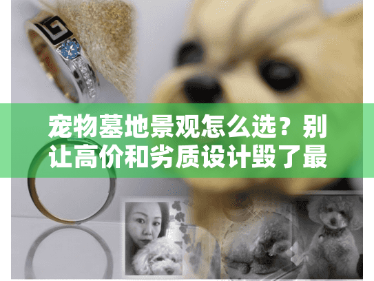 宠物墓地景观怎么选？别让高价和劣质设计毁了最后的告别