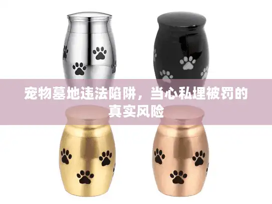 宠物墓地违法陷阱，当心私埋被罚的真实风险