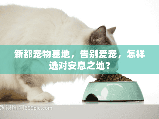 新都宠物墓地,告别爱宠,怎样选对安息之地? 新都宠物墓地,告别爱宠,怎样选对安息之地?