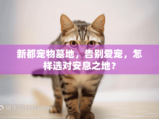 新都宠物墓地,告别爱宠,怎样选对安息之地? 新都宠物墓地,告别爱宠,怎样选对安息之地?