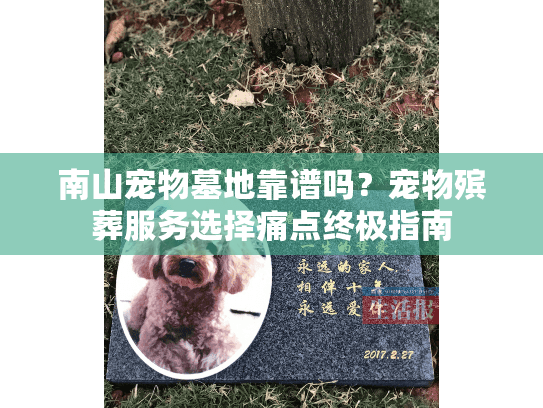 南山宠物墓地靠谱吗？宠物殡葬服务选择痛点终极指南