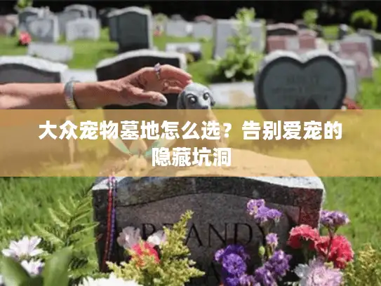 大众宠物墓地怎么选？告别爱宠的隐藏坑洞