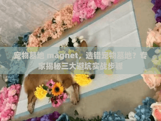 宠物墓地 magnet，选错宠物墓地？专家揭秘三大避坑实战步骤