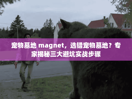 宠物墓地 magnet，选错宠物墓地？专家揭秘三大避坑实战步骤