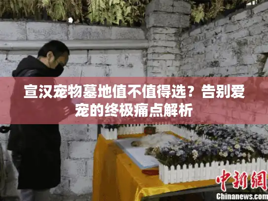 宣汉宠物墓地值不值得选？告别爱宠的终极痛点解析