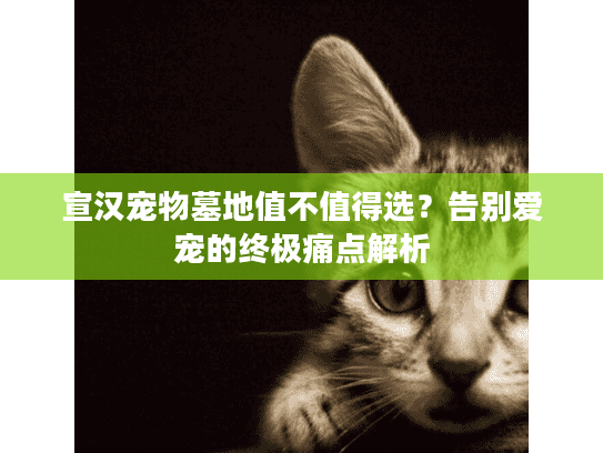 宣汉宠物墓地值不值得选？告别爱宠的终极痛点解析