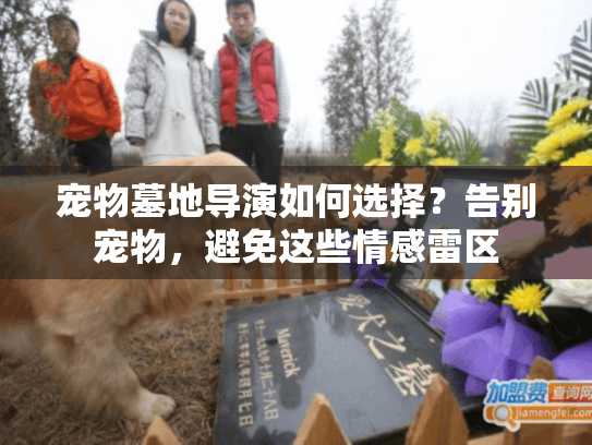 宠物墓地导演如何选择？告别宠物，避免这些情感雷区