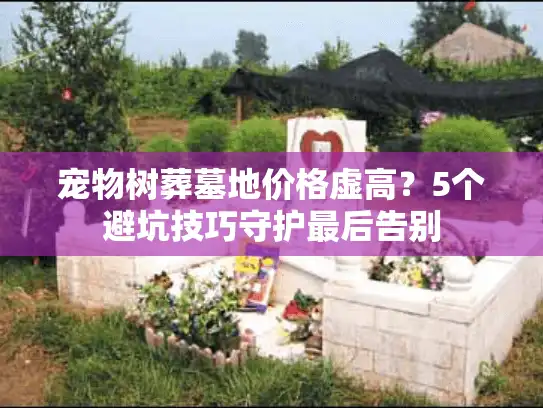 宠物树葬墓地价格虚高？5个避坑技巧守护最后告别