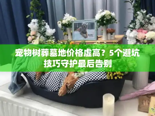 宠物树葬墓地价格虚高？5个避坑技巧守护最后告别