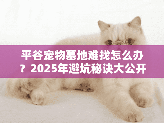 平谷宠物墓地难找怎么办？2025年避坑秘诀大公开