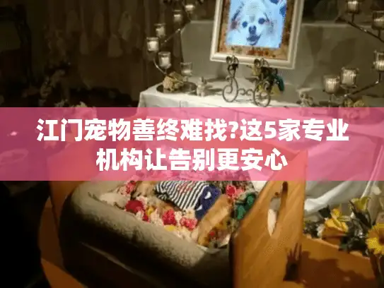江门宠物善终难找?这5家专业机构让告别更安心