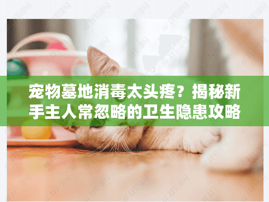 宠物墓地消毒太头疼？揭秘新手主人常忽略的卫生隐患攻略