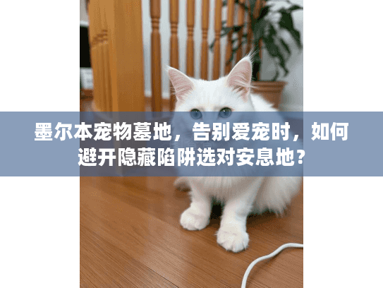 墨尔本宠物墓地,告别爱宠时,如何避开隐藏陷阱选对安息地? 墨尔本宠物墓地,告别爱宠时,如何避开隐藏陷阱选对安息地?