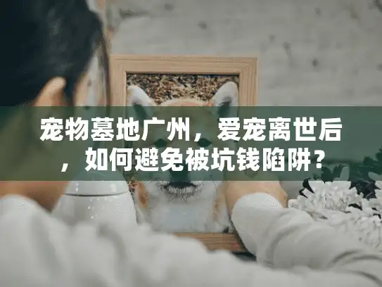 宠物墓地广州,爱宠离世后,如何避免被坑钱陷阱? 宠物墓地广州,爱宠离世后,如何避免被坑钱陷阱?