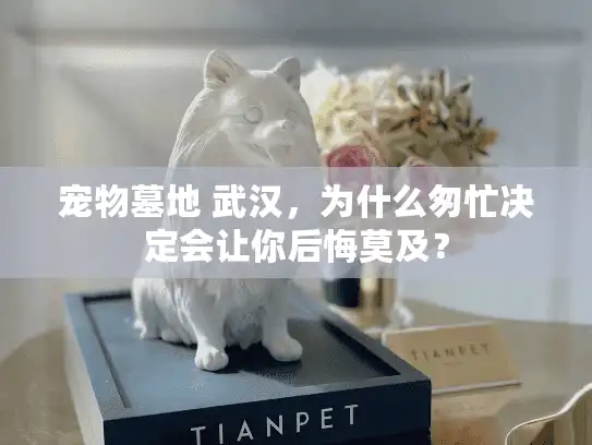 宠物墓地 武汉,为什么匆忙决定会让你后悔莫及? 宠物墓地 武汉,为什么匆忙决定会让你后悔莫及?