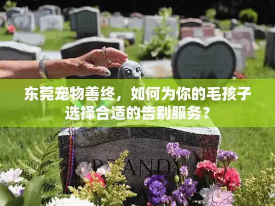东莞宠物善终，如何为你的毛孩子选择合适的告别服务？