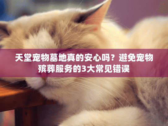 天堂宠物墓地真的安心吗？避免宠物殡葬服务的3大常见错误