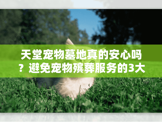 天堂宠物墓地真的安心吗？避免宠物殡葬服务的3大常见错误