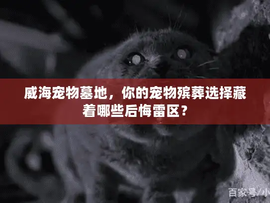 威海宠物墓地,你的宠物殡葬选择藏着哪些后悔雷区? 威海宠物墓地,你的宠物殡葬选择藏着哪些后悔雷区?