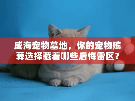 威海宠物墓地,你的宠物殡葬选择藏着哪些后悔雷区? 威海宠物墓地,你的宠物殡葬选择藏着哪些后悔雷区?