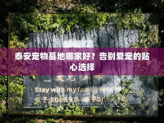 泰安宠物墓地哪家好？告别爱宠的贴心选择