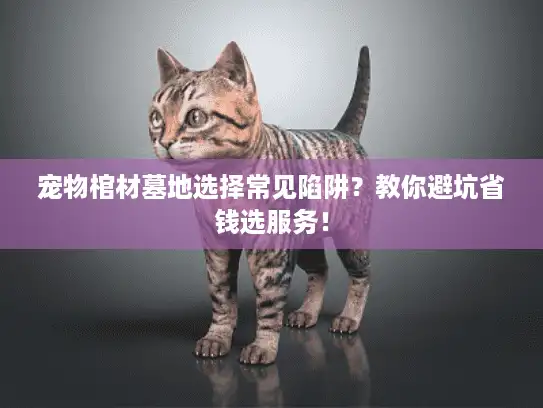 宠物棺材墓地选择常见陷阱？教你避坑省钱选服务！