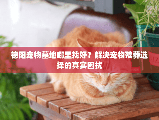 德阳宠物墓地哪里找好？解决宠物殡葬选择的真实困扰