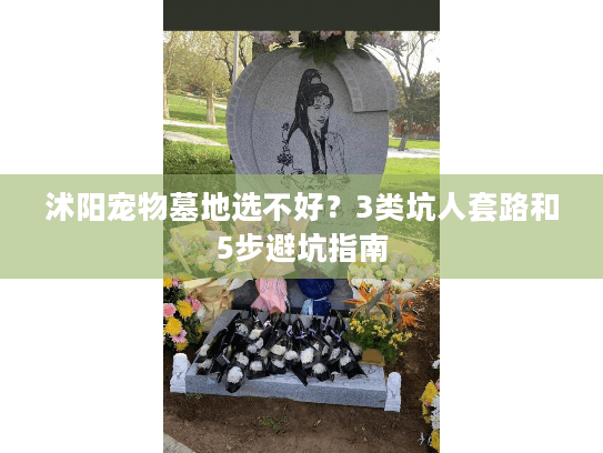 沭阳宠物墓地选不好？3类坑人套路和5步避坑指南