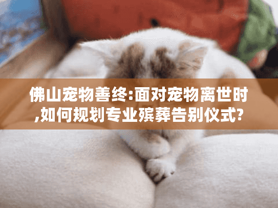 佛山宠物善终:面对宠物离世时,如何规划专业殡葬告别仪式?