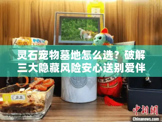 灵石宠物墓地怎么选?破解三大隐藏风险安心送别爱伴 灵石宠物墓地怎么选?破解三大隐藏风险安心送别爱伴