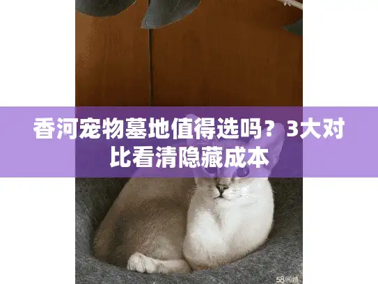 香河宠物墓地值得选吗？3大对比看清隐藏成本