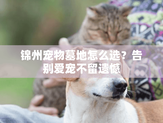 锦州宠物墓地怎么选？告别爱宠不留遗憾