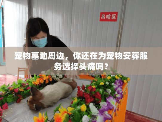 宠物墓地周边，你还在为宠物安葬服务选择头痛吗？