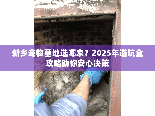新乡宠物墓地选哪家？2025年避坑全攻略助你安心决策