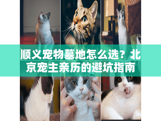 顺义宠物墓地怎么选？北京宠主亲历的避坑指南