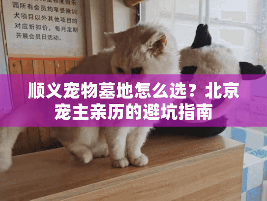 顺义宠物墓地怎么选？北京宠主亲历的避坑指南